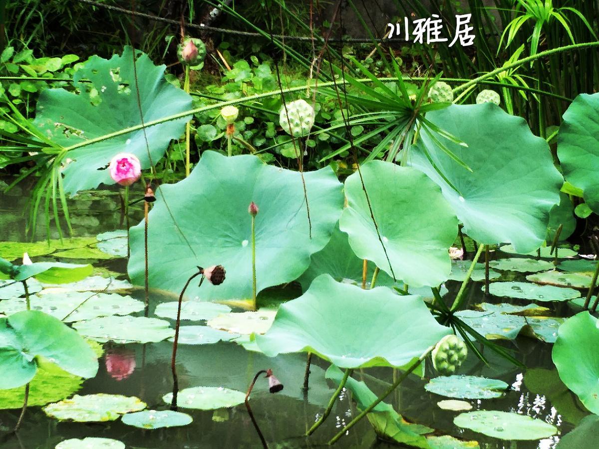 Chuan Ya Ju Homestay Qishan Bagian luar foto